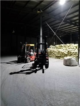 龍工化工專用叉車