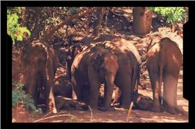 龍工電動叉車 龍工電動叉車