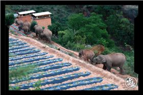 龍工電動叉車 龍工電動叉車