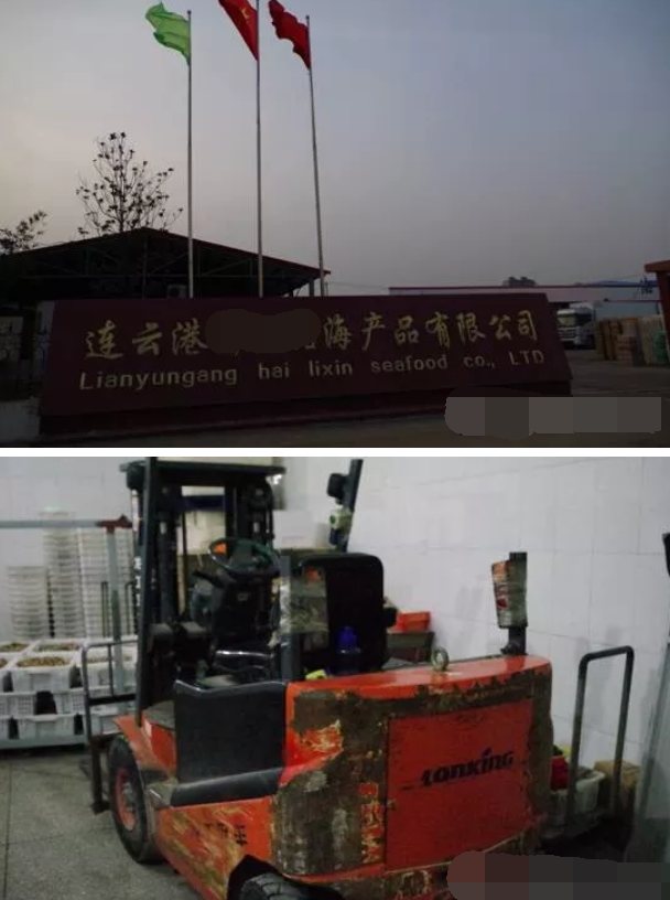 龍工冷庫(kù)電動(dòng)叉車