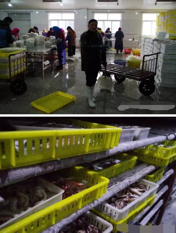 龍工冷庫(kù)叉車